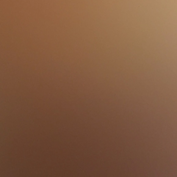 Anthropologie Jewelry - Last pair! Price firm!🆕 Floral gold statement Pearl stud earrings